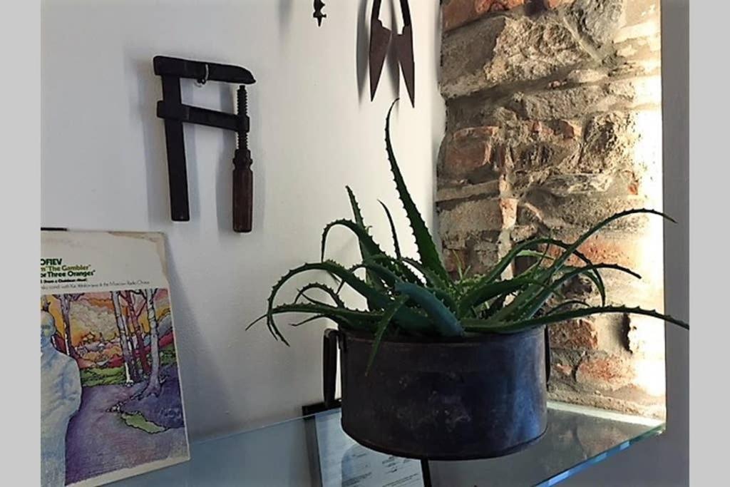 Appartamento Casa Oliva Cinque Terre Manarola Esterno foto